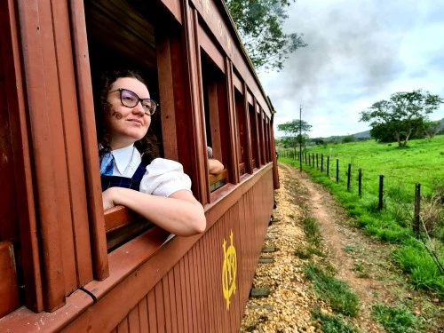 Logo da Irene Bogado