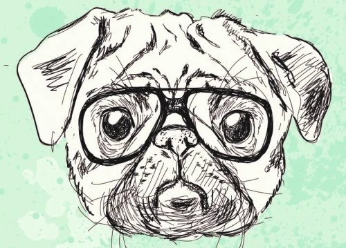 Logo da Mr Pug Pops!