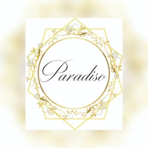 Logo da ParadisoStore