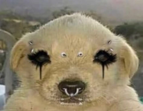 Logo da Martim José da Silva