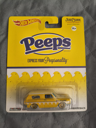 '69 Squareback Hot Wheels Just Born # - Produto Original