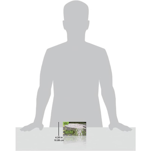  Pokemon Estampas Ilustradas # - Produto Original