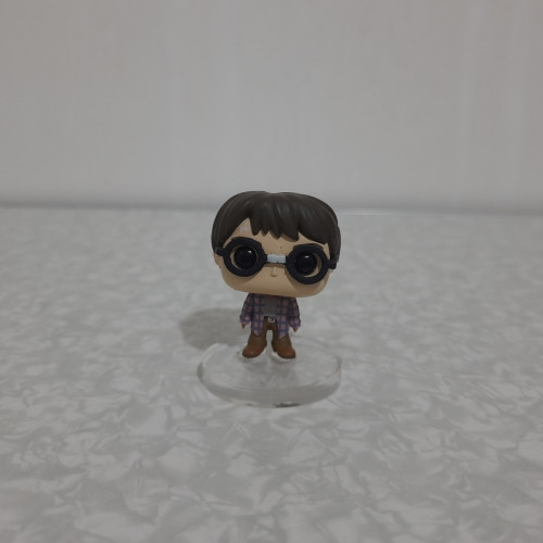 Funko Pocket (Mini) Harry Potter (Com Base de Acrílico)-Harry Potter-01