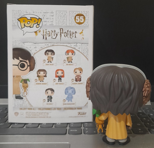 Funko Pop Harry Potter - Harry Potter - #55