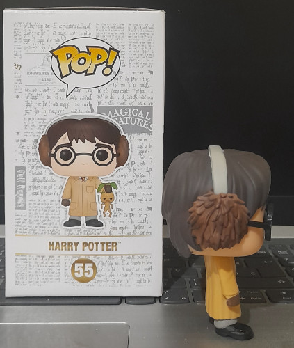 Funko Pop Harry Potter - Harry Potter - #55