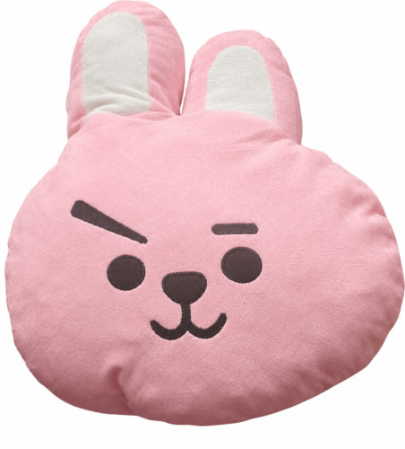 Almofada De Pelúcia Bt21 (bts) - Original Line Friends - Cookie Jungkook-Line Friends X BTS BT21-