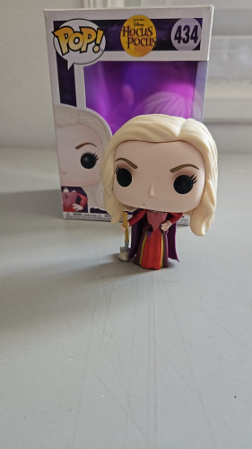  Disney Hocus Pocus #434 - Produto Original