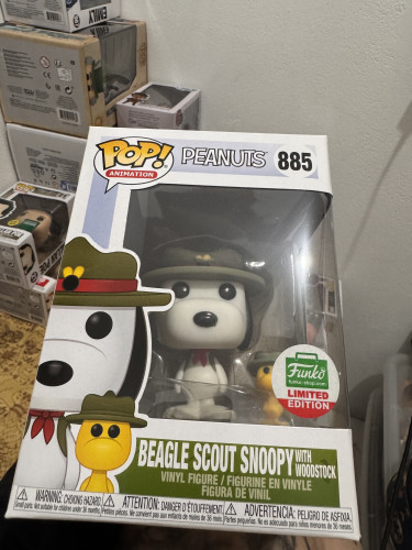 Beagle Scout Snoopy With Woodstock - Snoopy E Woodstock-Animation-885