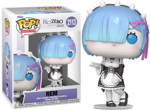 Rem-Re:Zero Starting Life In Another World-2113