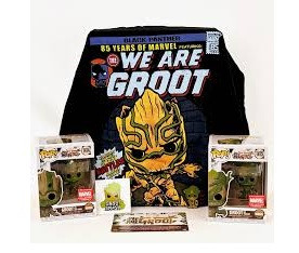 Funko Pop Box We Are Groot - Exclusive-Marvel Collector Corps-01