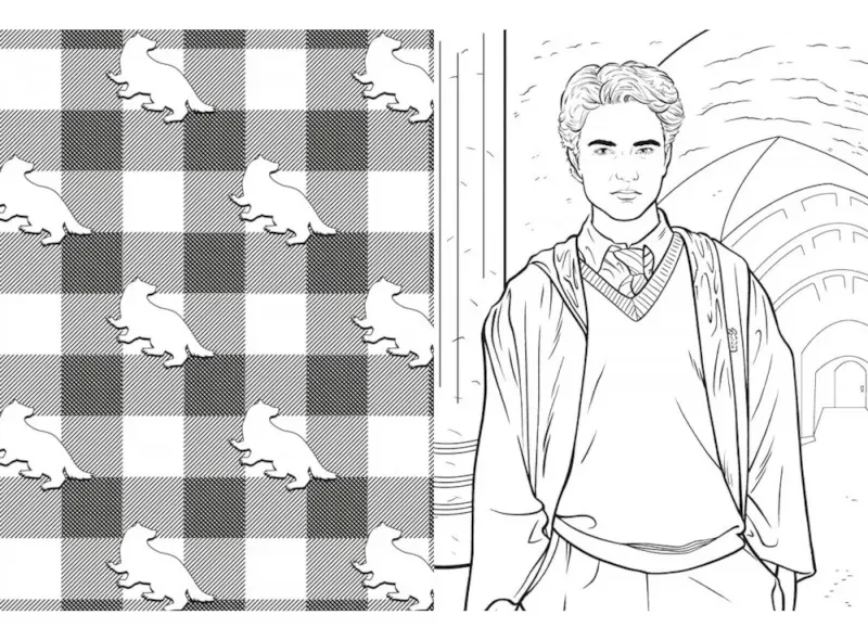 Livro De Colorir Harry Potter Hogwarts Lufa Lufa Hufflepuff - Harry Potter - #1