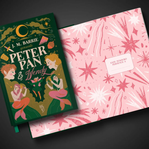 Peter Pan & Wendy - DarkSide Graphic Novel - #