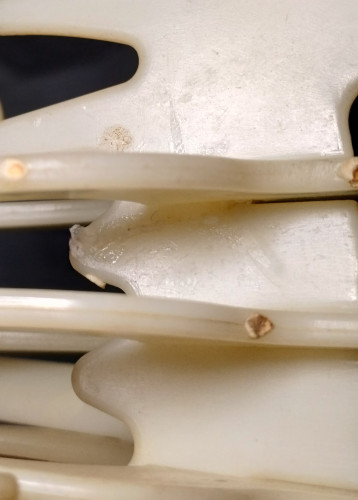  Dinossauros # - Produto Original