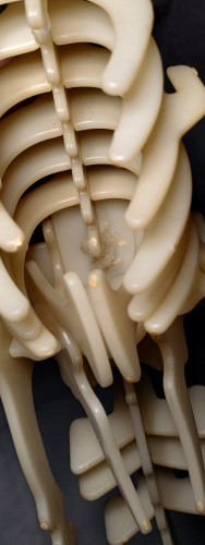  Dinossauros # - Produto Original