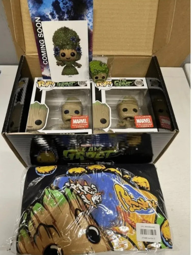 Funko Box Collectors Corps Marvel I Am Groot - Marvel Avengers - #11