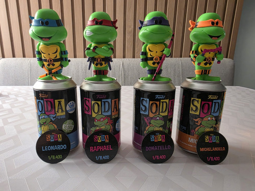  TMNT #1 - Produto Original