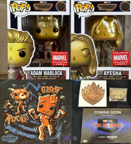 Funko Marvel Collector Corps Guardians Of The Galaxy 3 - Guardians Of The Galaxy - #00