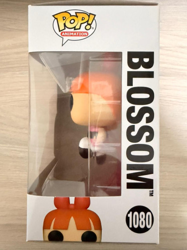  The Powerpuff Girls #1080 - Produto Original