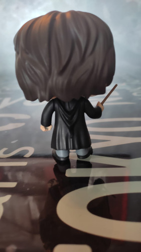 Funko Pop! Harry Potter - Harry Potter - #01