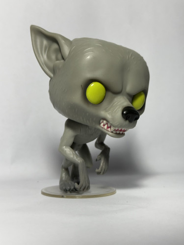 Funko Pop! Remus Lupin - Harry Potter - #49