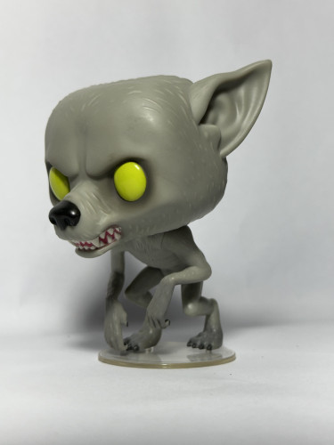 Funko Pop! Remus Lupin - Harry Potter - #49