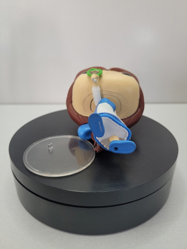  Beauty And The Beast #1132 - Produto Original