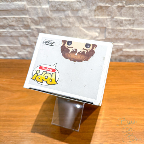 Funko Pop Frodo Baggins (Chase) - The Lord Of The Rings #444 - The Lord Of The Rings - #444