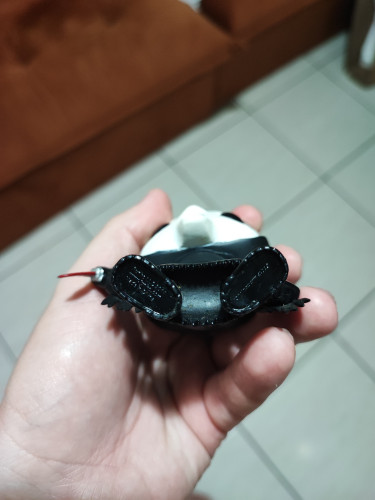  Scream (Pânico) #51 - Produto Original