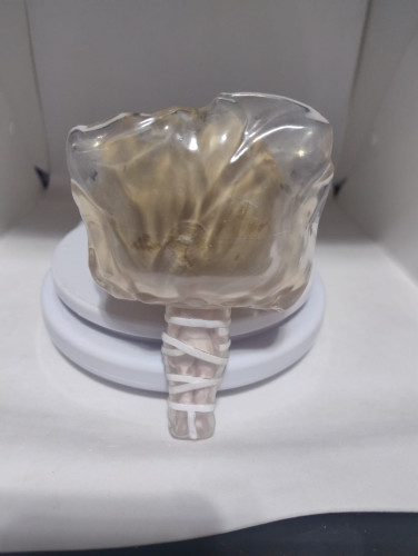  Twin Peaks #447 - Produto Original