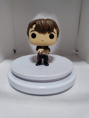 Funko Pop Neville Longbottom (com detalhe no nariz e sem caixa) - Harry Potter - #116