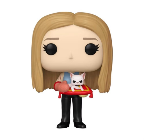 Funko Pop Rachel Green #1650 Com Amigos Da Sra. Whiskerson-Friends-1650