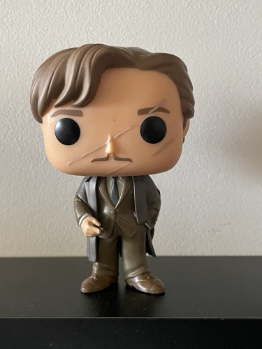 Funko Remo Lupin Harry Potter-Harry Potter-45