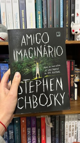 Amigo Imaginário-Livros-3