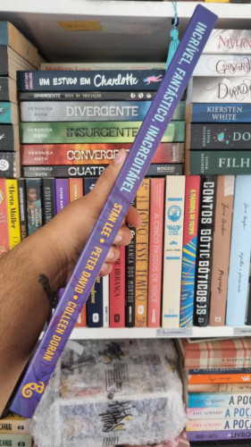 Incrível, Fantástico, Inacreditável Stan Lee - Stan Lee - #
