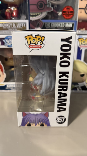  Yu Yu Hakusho #857 - Produto Original