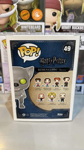  Harry Potter #49 - Produto Original