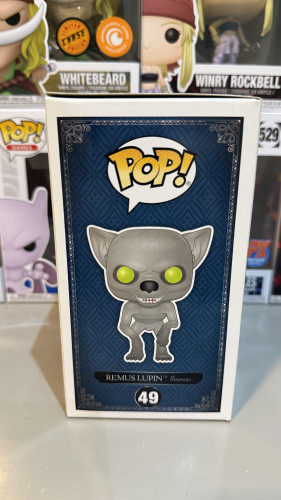  Harry Potter #49 - Produto Original