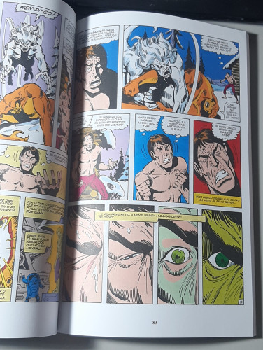 Coleção Histórica Marvel O Incrível Hulk - Hulk - #8