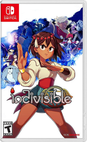 Indivisible Switch Usado (sem Caixa)-Nintendo Switch-