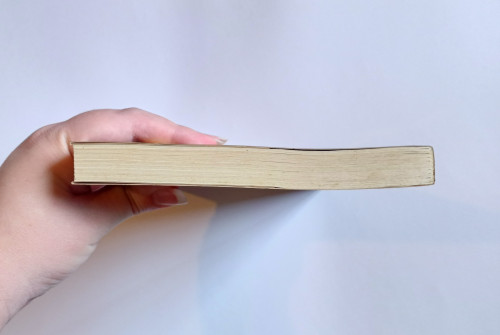 Livro A Caçada - Andrew Fukuda + Marcador de página de brinde - A Caçada - #1