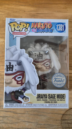 Jiraiya (sage Mode)-Naruto Shippuden-1381