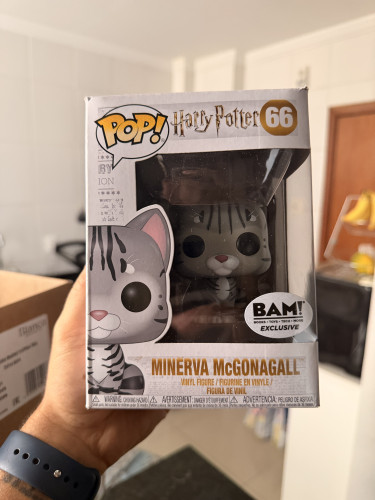  Harry Potter #66 - Produto Original
