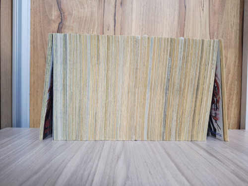  Negima! Magister Negi Magi #1 - Produto Original