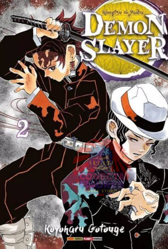 Manga Demon Slayer Vol 02-Demon Slayer-2