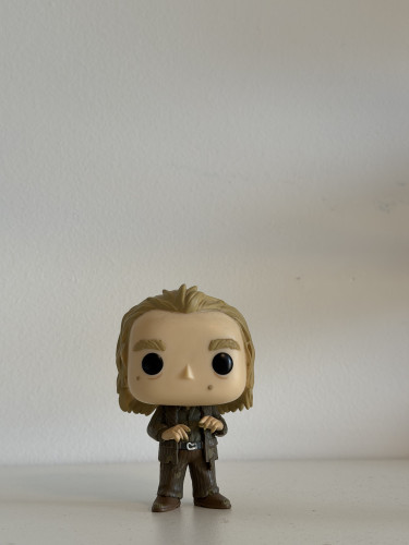 Funko Pop Peter Pettigrew – #45 (Harry Potter) SEM CAIXA-Harry Potter-45