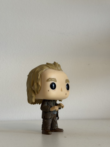 Funko Pop Peter Pettigrew – #45 (Harry Potter) SEM CAIXA - Harry Potter - #45