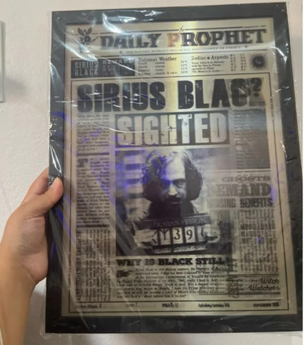Quadro 3d Harry Potter -  Jornal Profeta Diário - Harry Potter - #