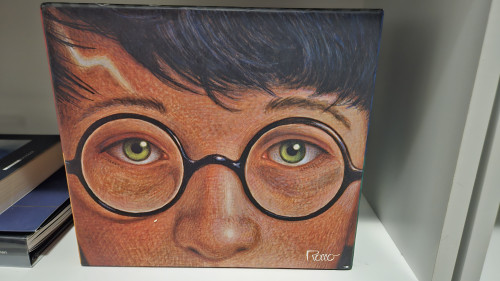 Box Harry Potter- capa dura - edição de 20 anos - Harry Potter - #