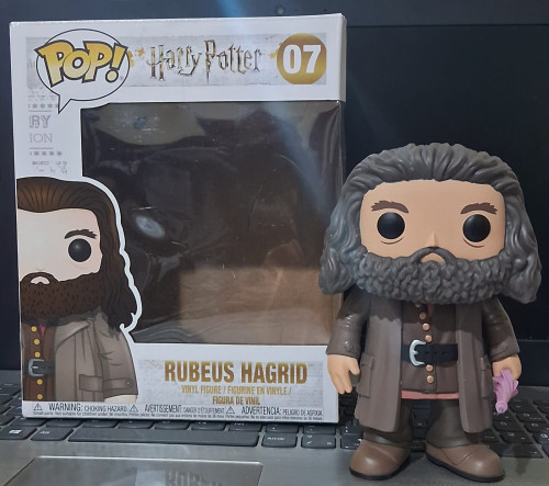 Funko Pop Rubeus Hagrid sem blister *-Harry Poter-07