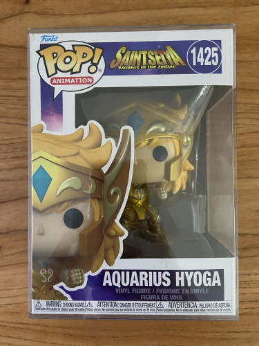 Saint Seiya Aquarius Hyoga-CDZ - Cavaleiros Do Zodiaco-1425